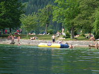 Not flying? Swim