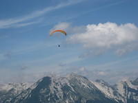 Flying High