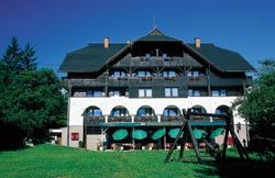 Apartments in Bohinj for 2008 just 200 meters from the landing field
